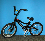20" Unisex child cruiser
